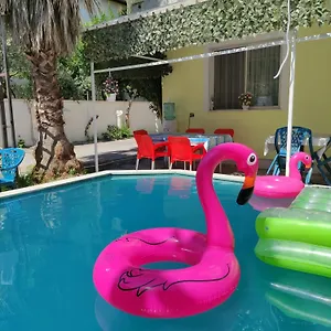 book here